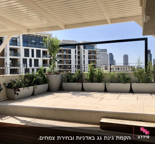 עציצים עם צמחים על מרפסת גג עירונית